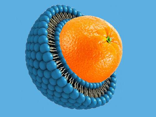 Why LET? - Health Nutrition