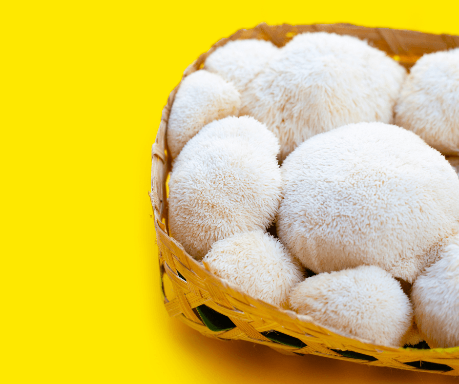 Lion's mane mushrooms - the benefits - Health Nutrition