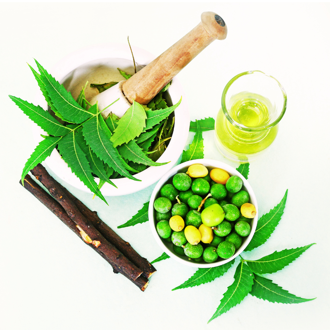 Organic neem oil benefits and how to use it