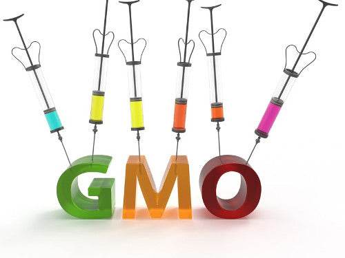 GMOs are bad for you - Health Nutrition